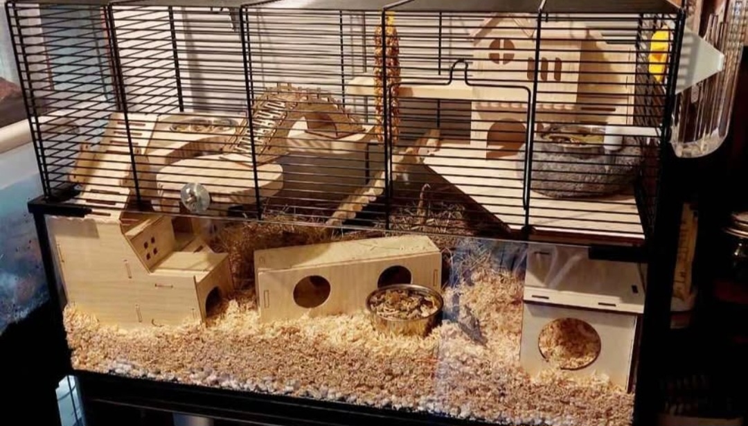 🩵🩵 KLEC PRO KŘEČKA, HLODAVCE 🩵🩵