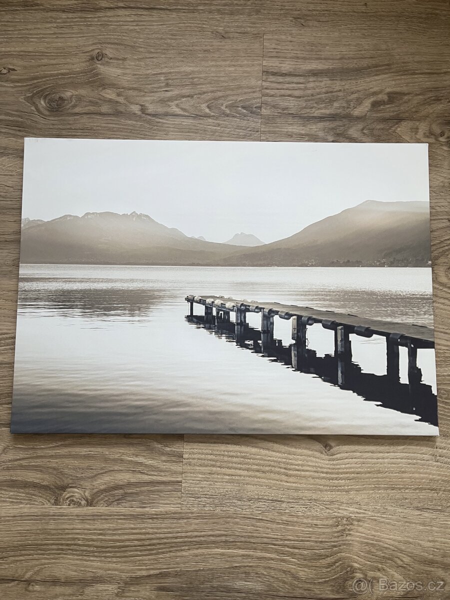 Hnědo - béžový obraz 70 x 90 cm