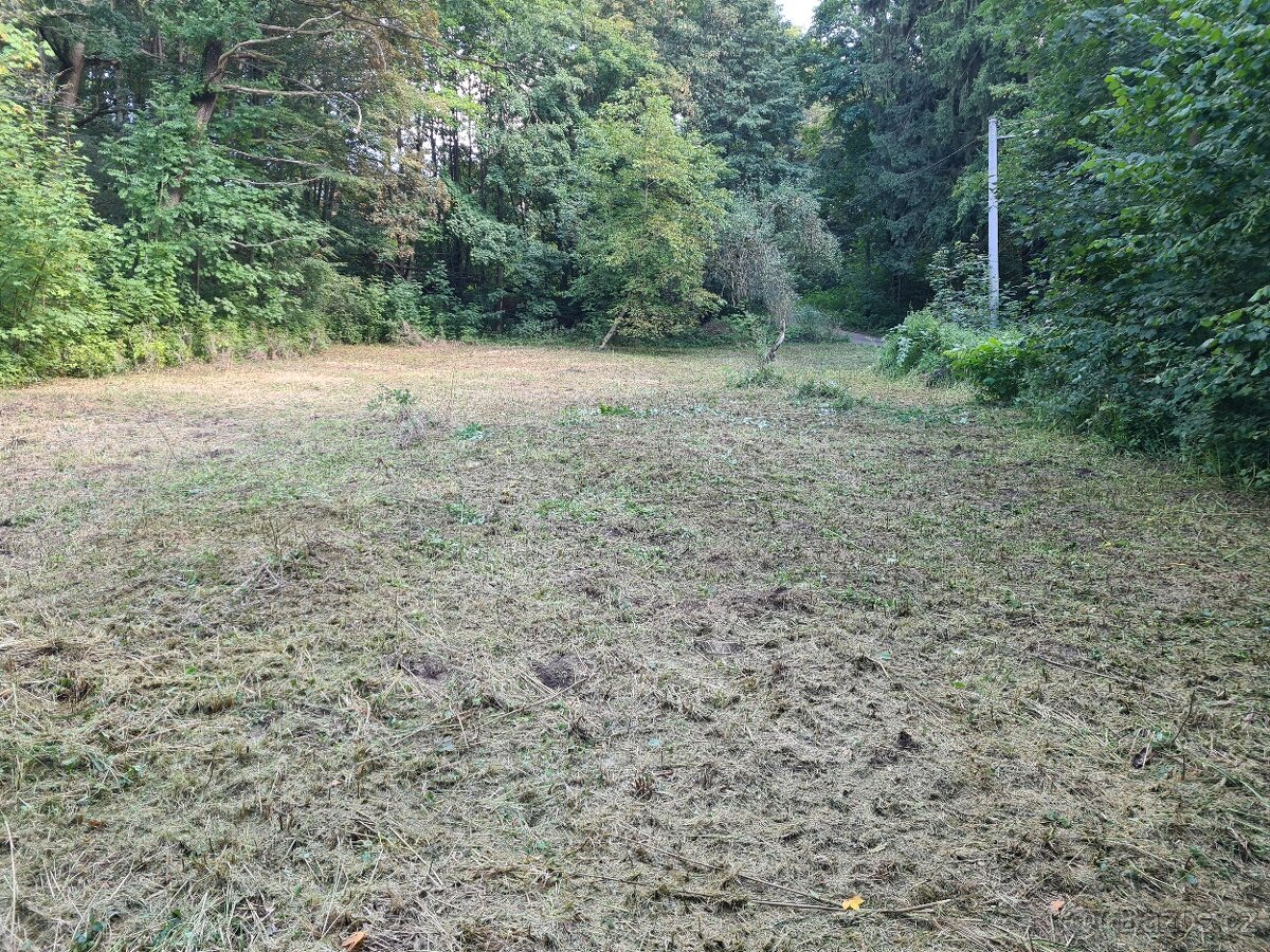 Pronajmu louku / zahradu