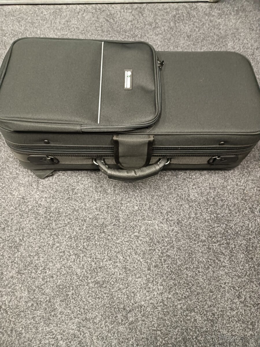 Alt saxofon TAS-580 GL