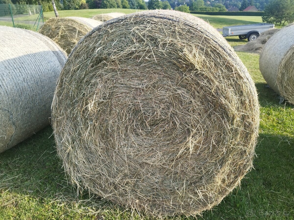Prodám seno