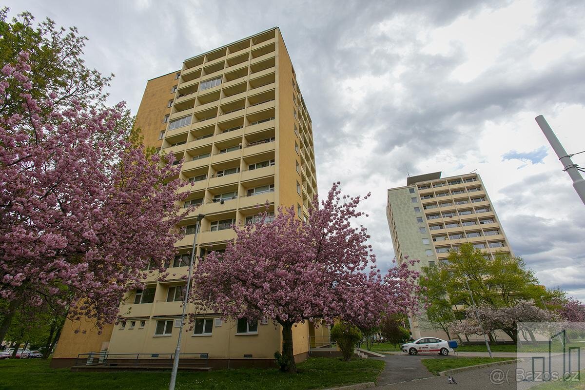 Prodej investičního bytu 1+kk v centru Litvínova