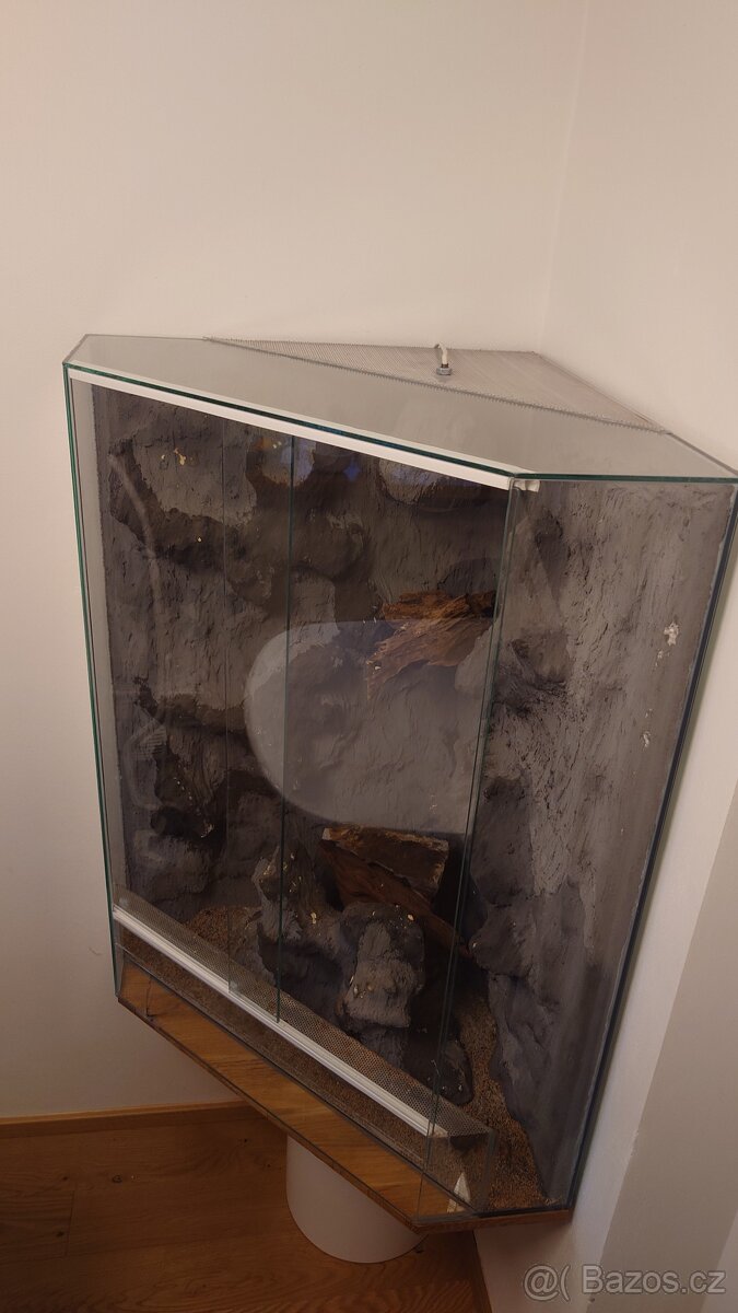 Terárium - chameleon