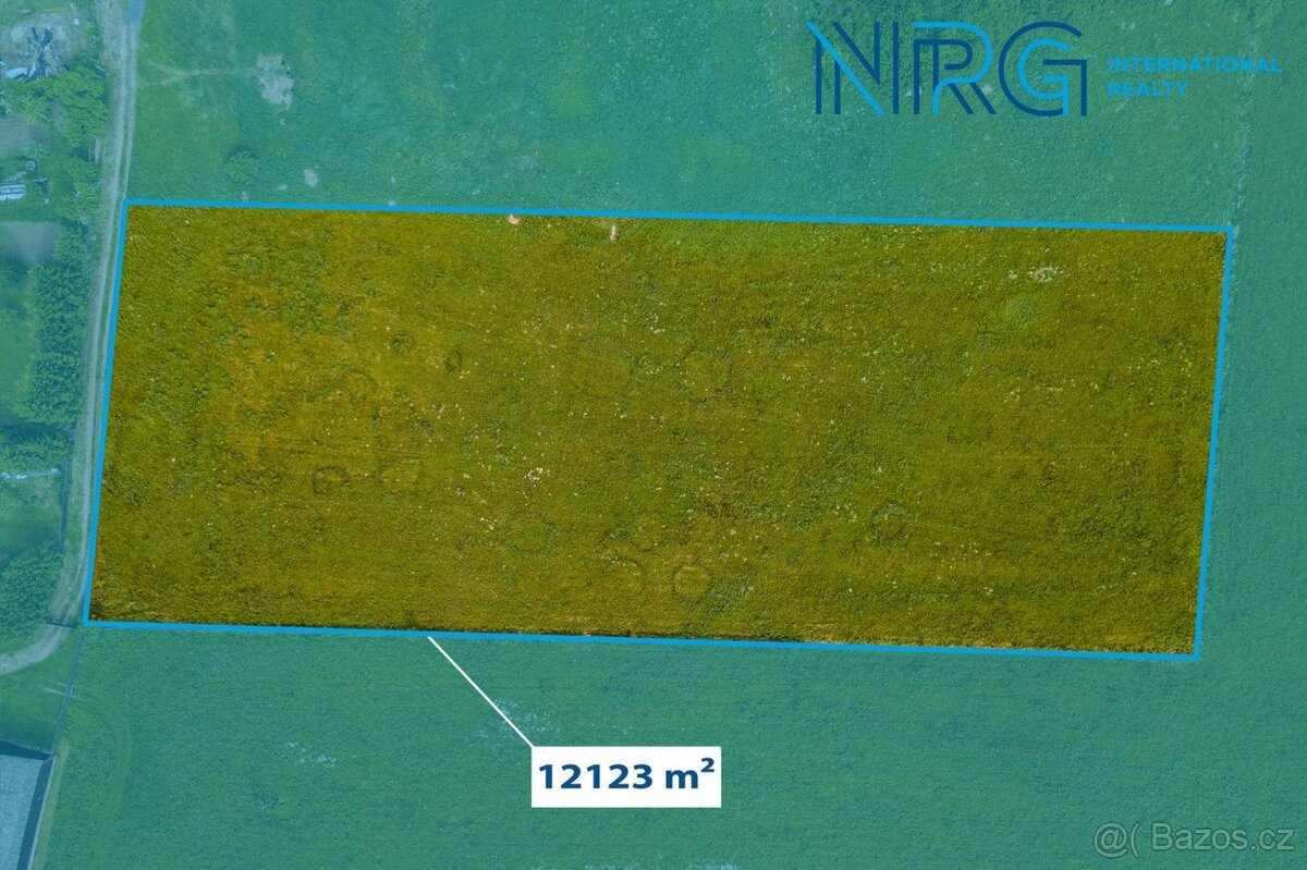 Prodej pozemku, 12123 m2, Týnec u Plané, Planá u Mariánských