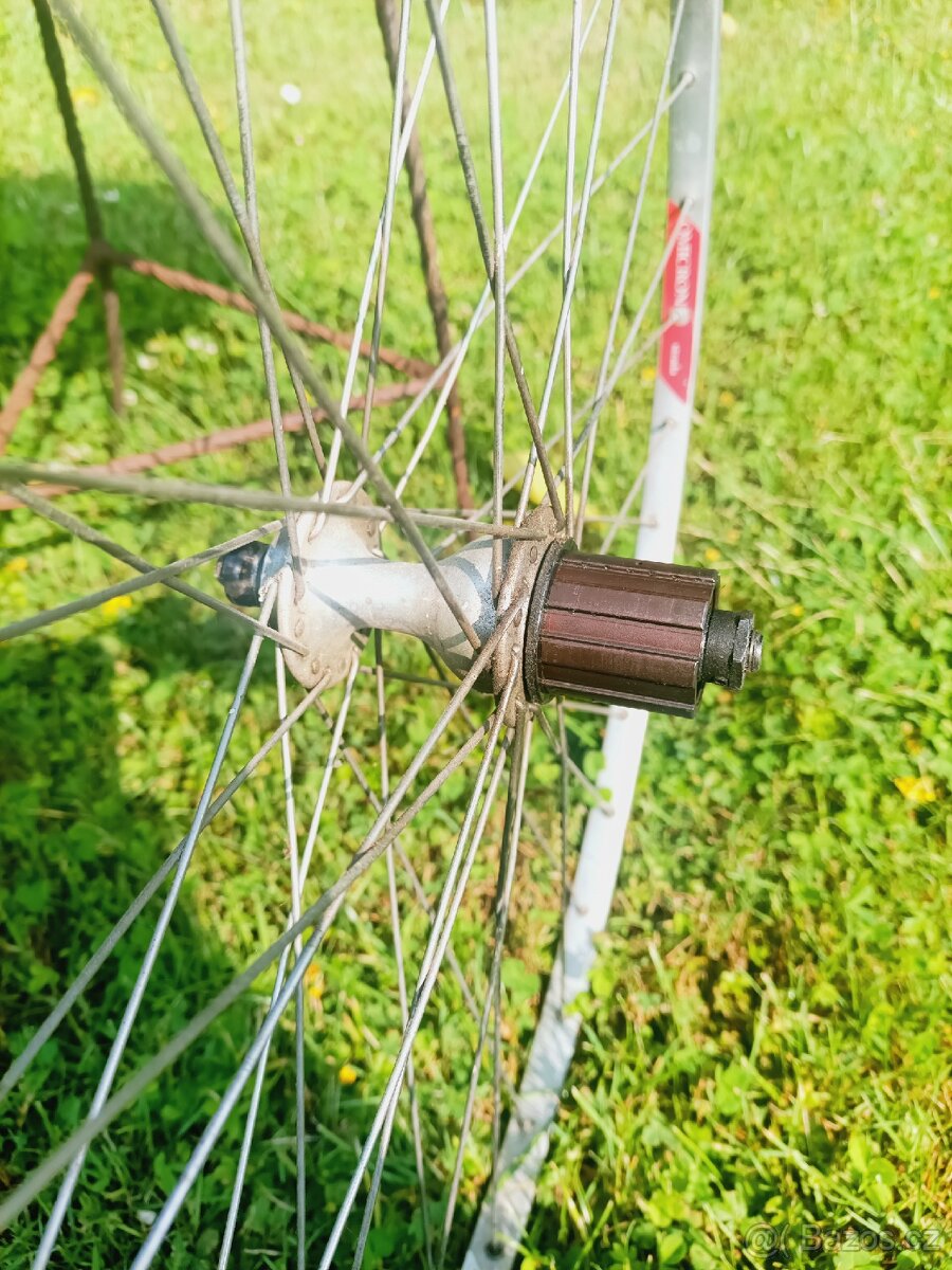 Kolo campagnolo