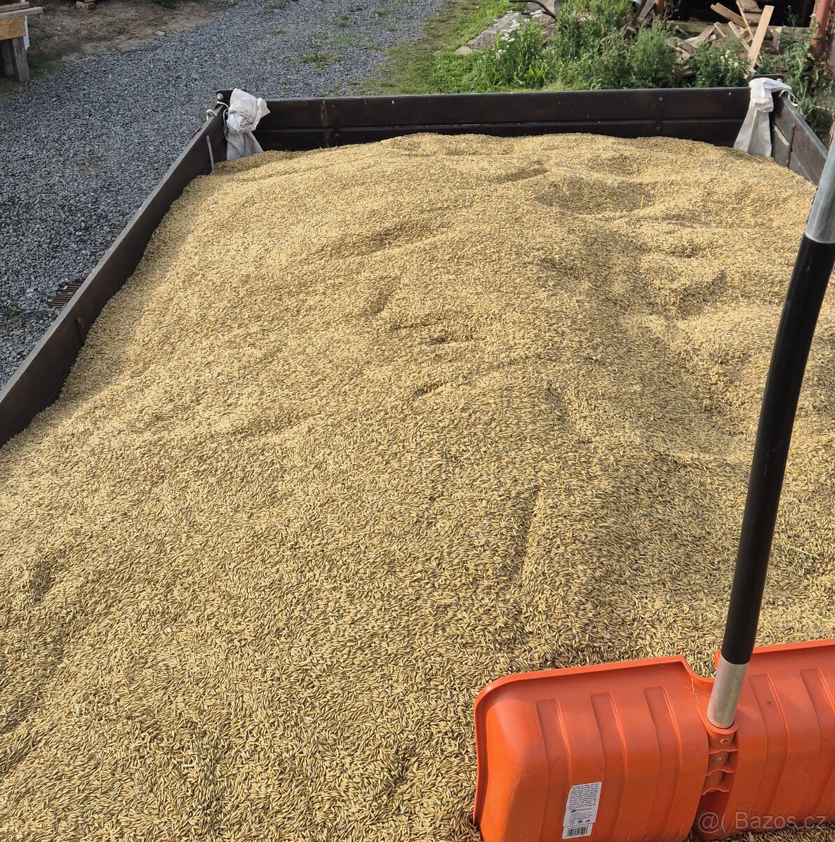 Přebytky obilí - Pšenice,ječmen,oves, trikitále