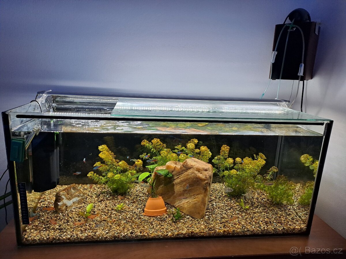 Vybavené akvarium 120l