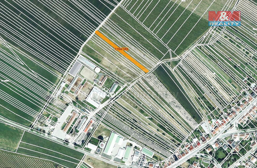 Prodej vinice, 226 m², Týnec na Moravě