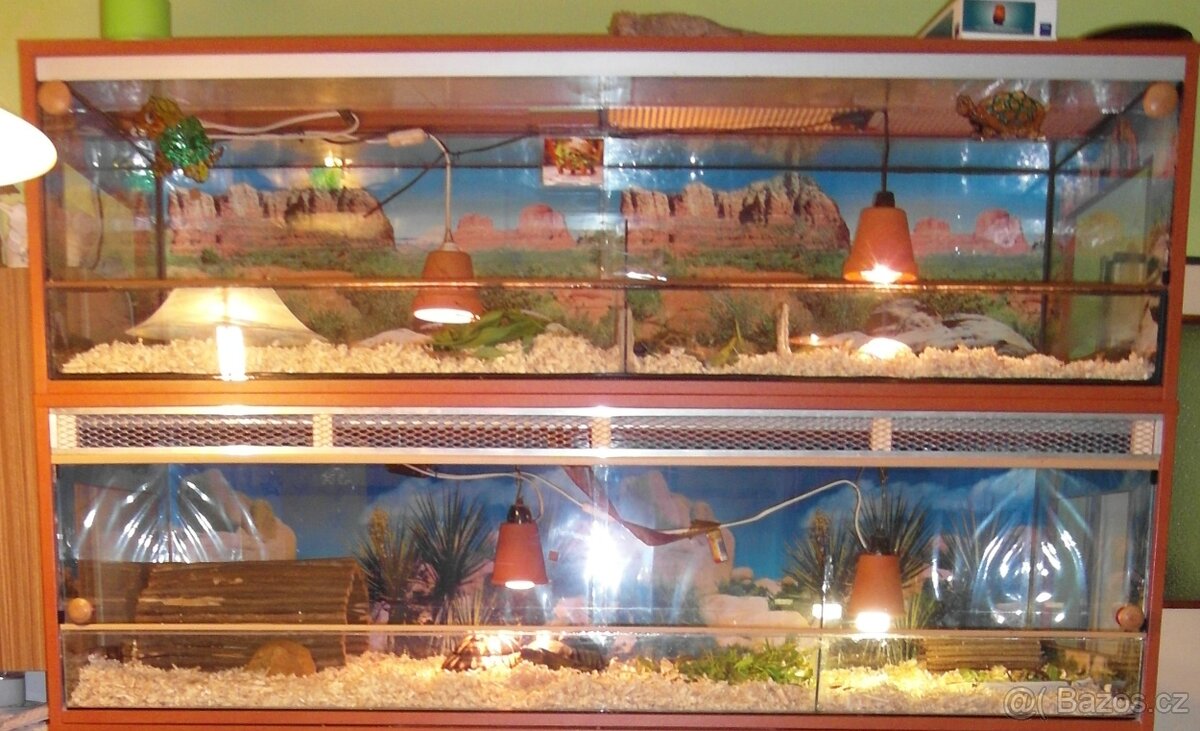 Terarium