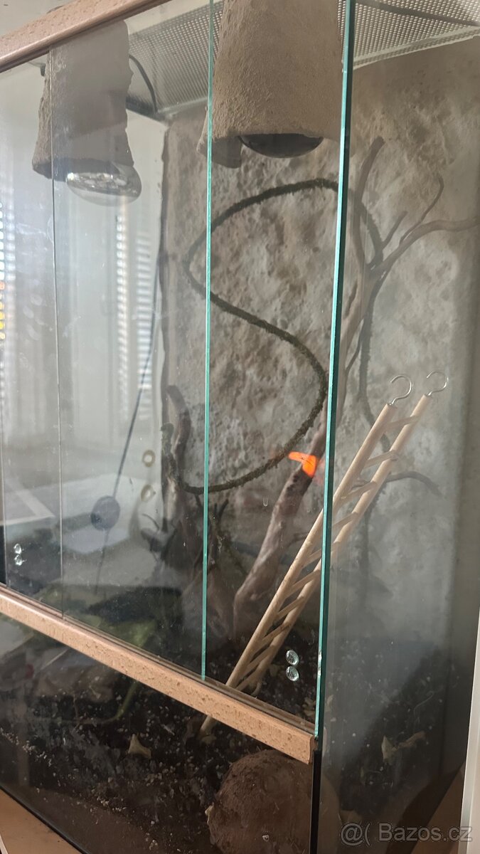 Terárium pro chameleona