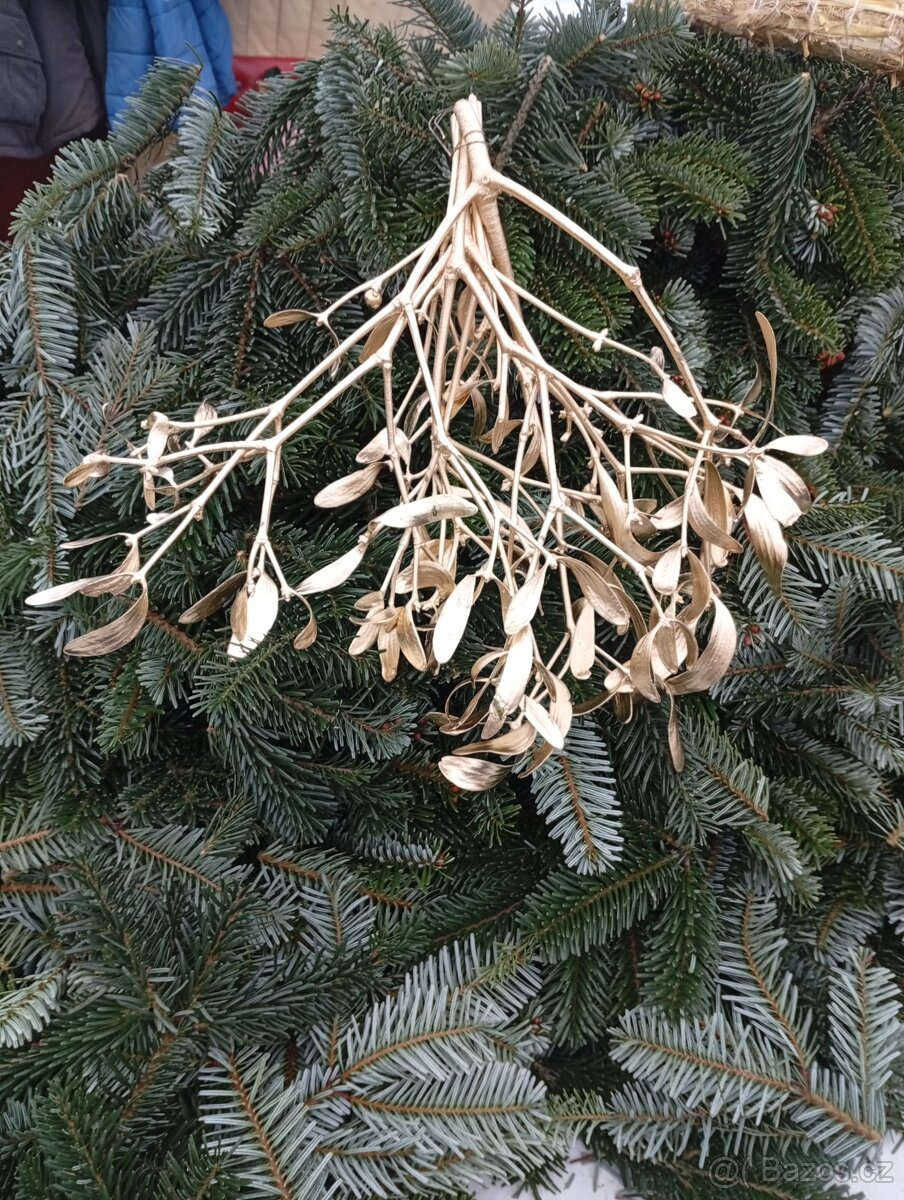 Jmelí zlaté prodam