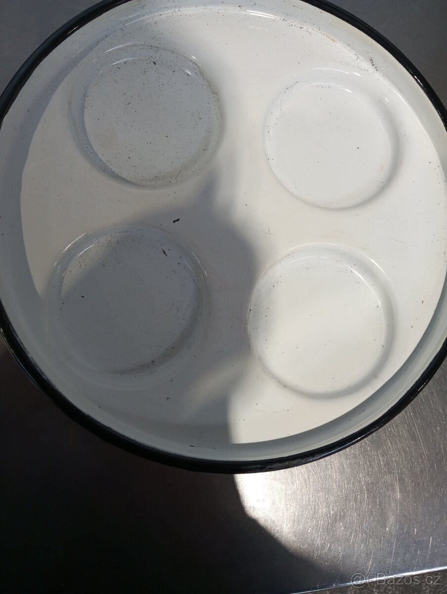 Starý lívsnečník