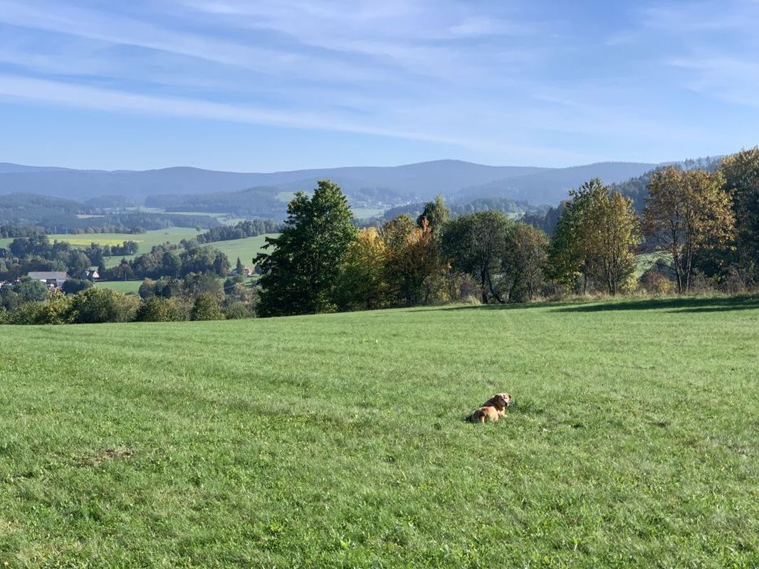Prodej pozemku na Šumavě – Stachy