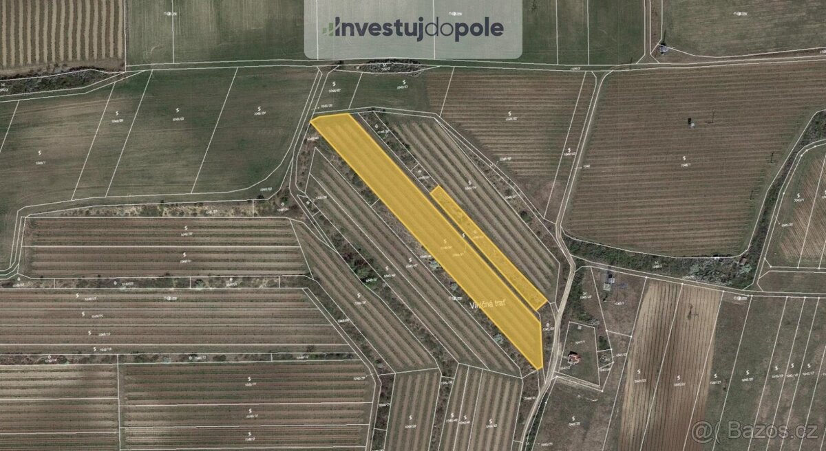 Prodej sadu / vinice 6 224 m², Sedlec, ev.č. 2025-06-10-15