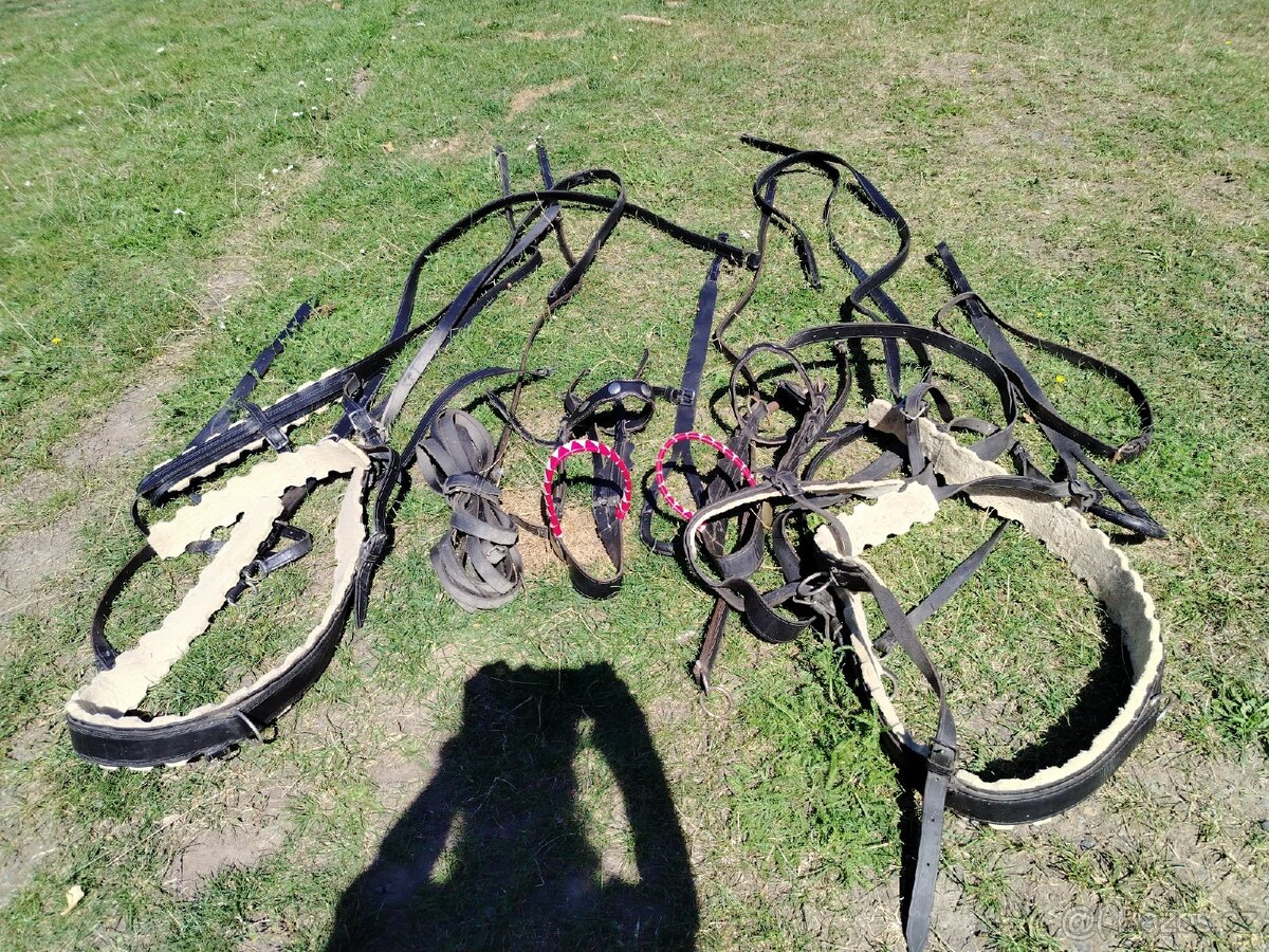 Prodám tažné postroje na koně