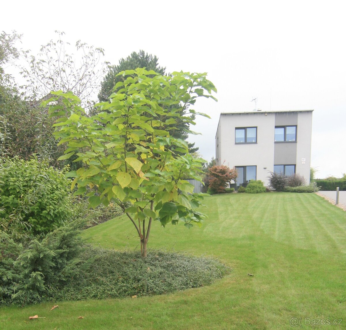 Prodej rodinného domu s  pozemkem 1 724 m²