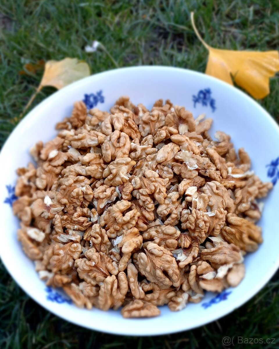 Vylouskané vlašské ořechy - prodám