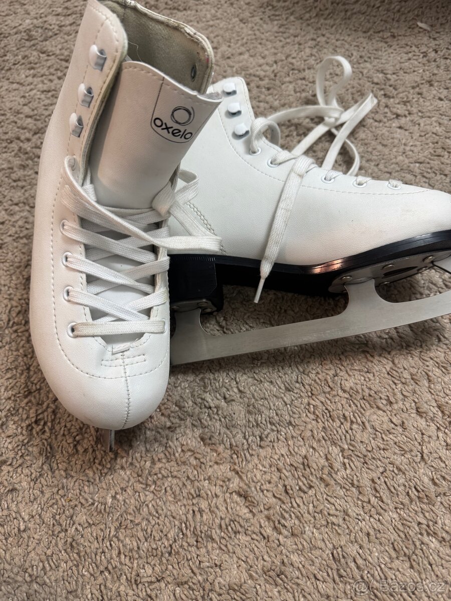 Brusle 36 velikostí