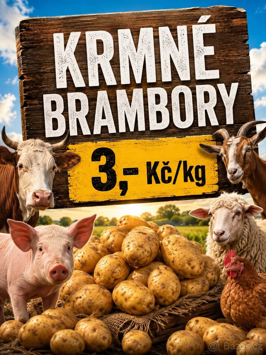Krmné brambory