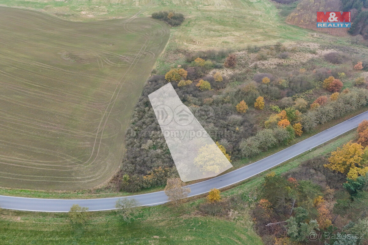 Prodej pole, 1163 m², Nepomuk
