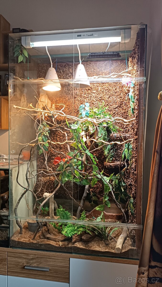 Terárium pro chameleona