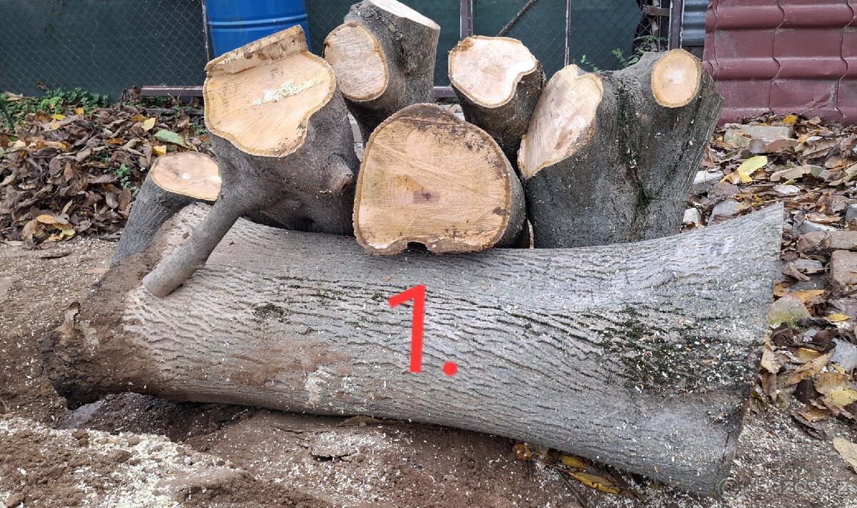 Prodám kmen a dřevo z ořechu