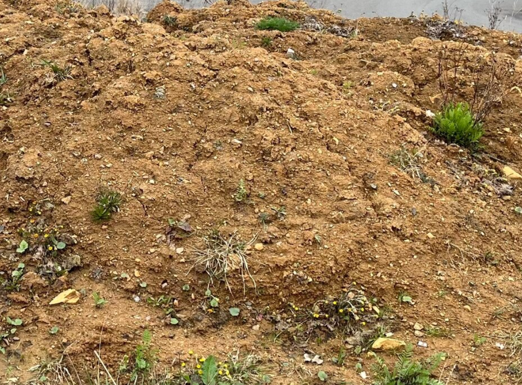 Zemina - jíl za odvoz