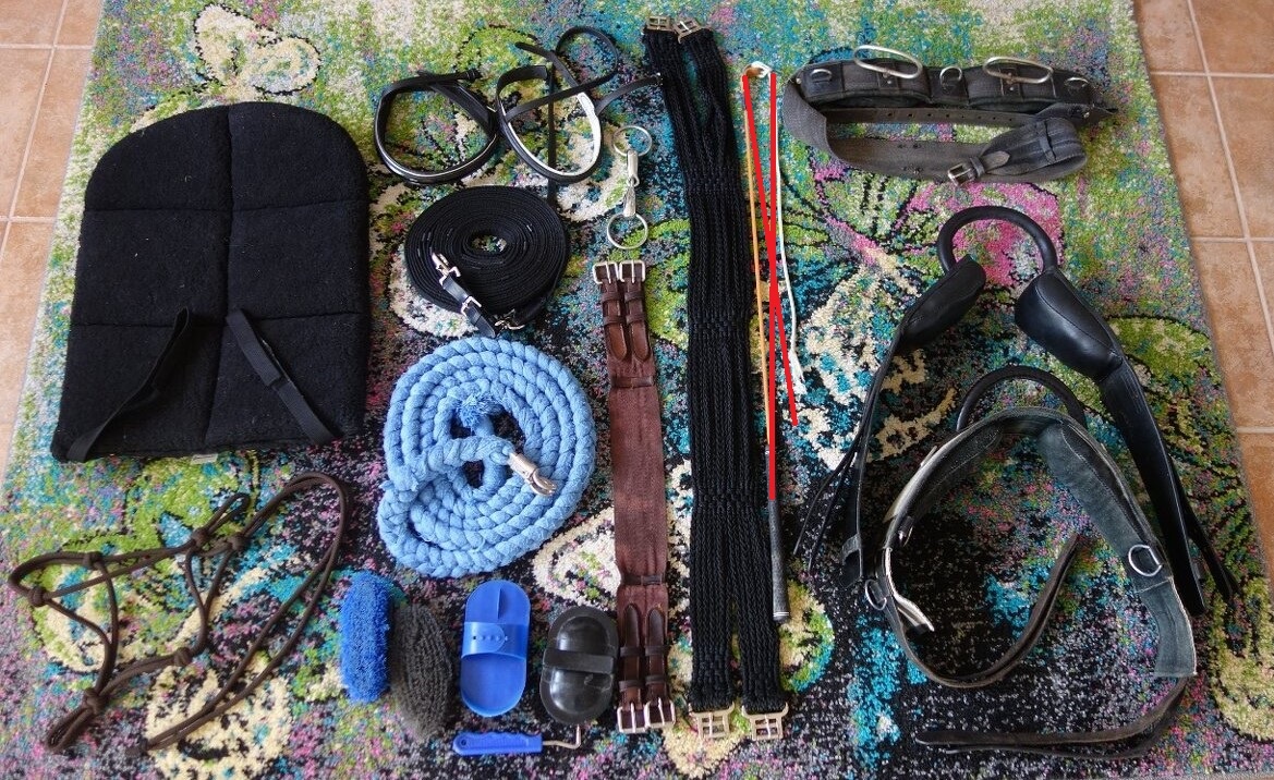 Úklid sedlovny - věci na koně