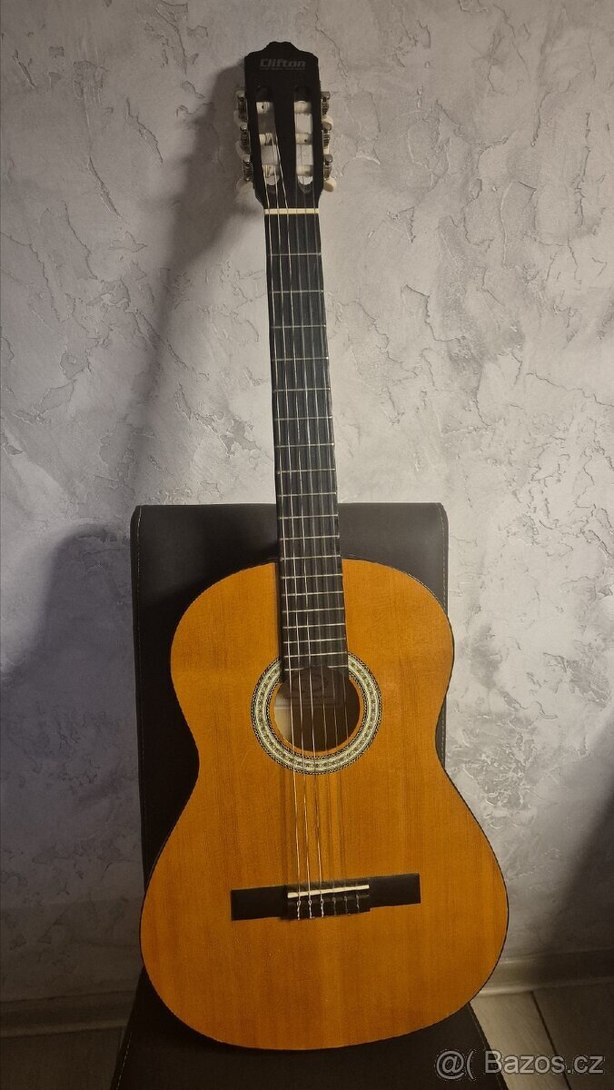 Akustická kytara ( španělka )