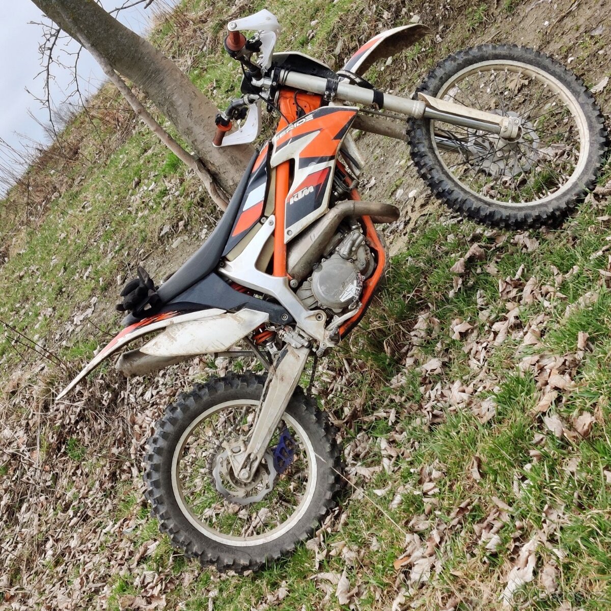 KTM Freeride 250R