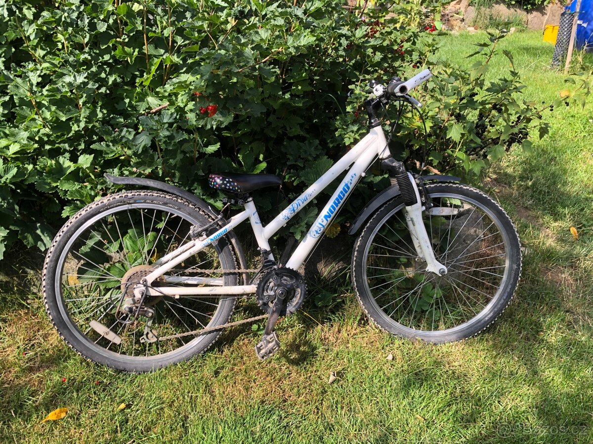kolo Norco 24