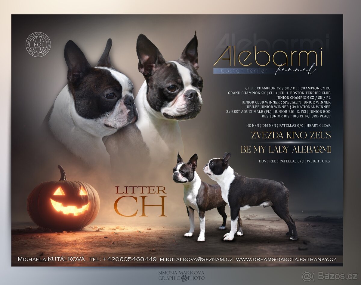 Bostonský teriér s PP