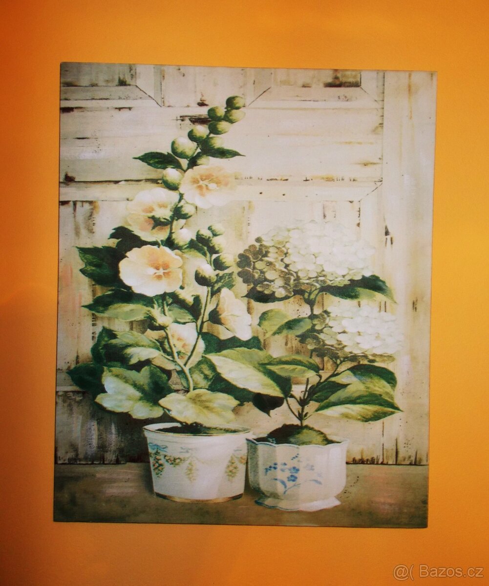 OBRAZ - REPRODUKCE PROVENCE