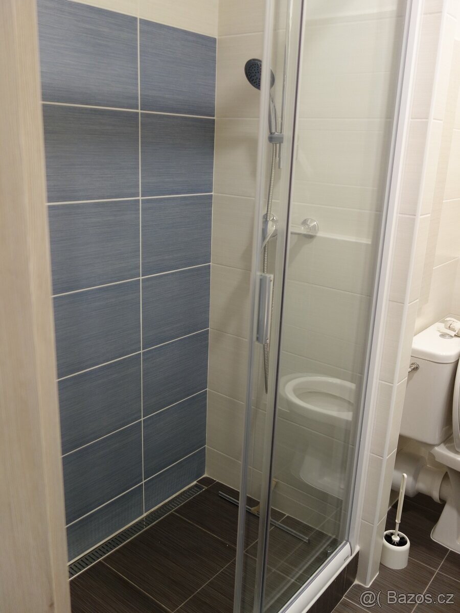 Pronájem bytu 1+1, Vyškov