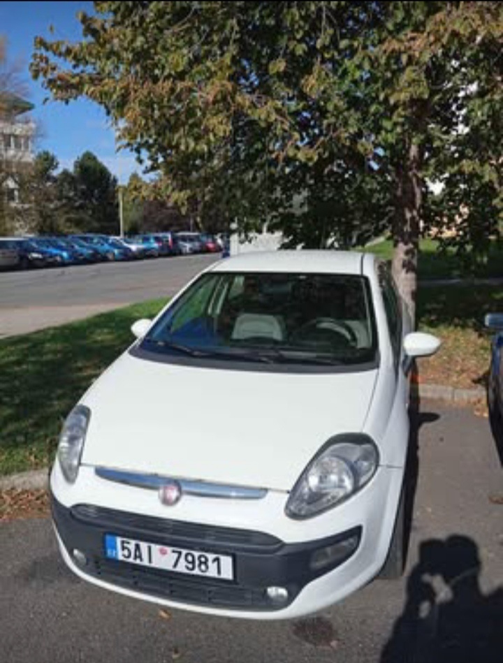 Punto Evo