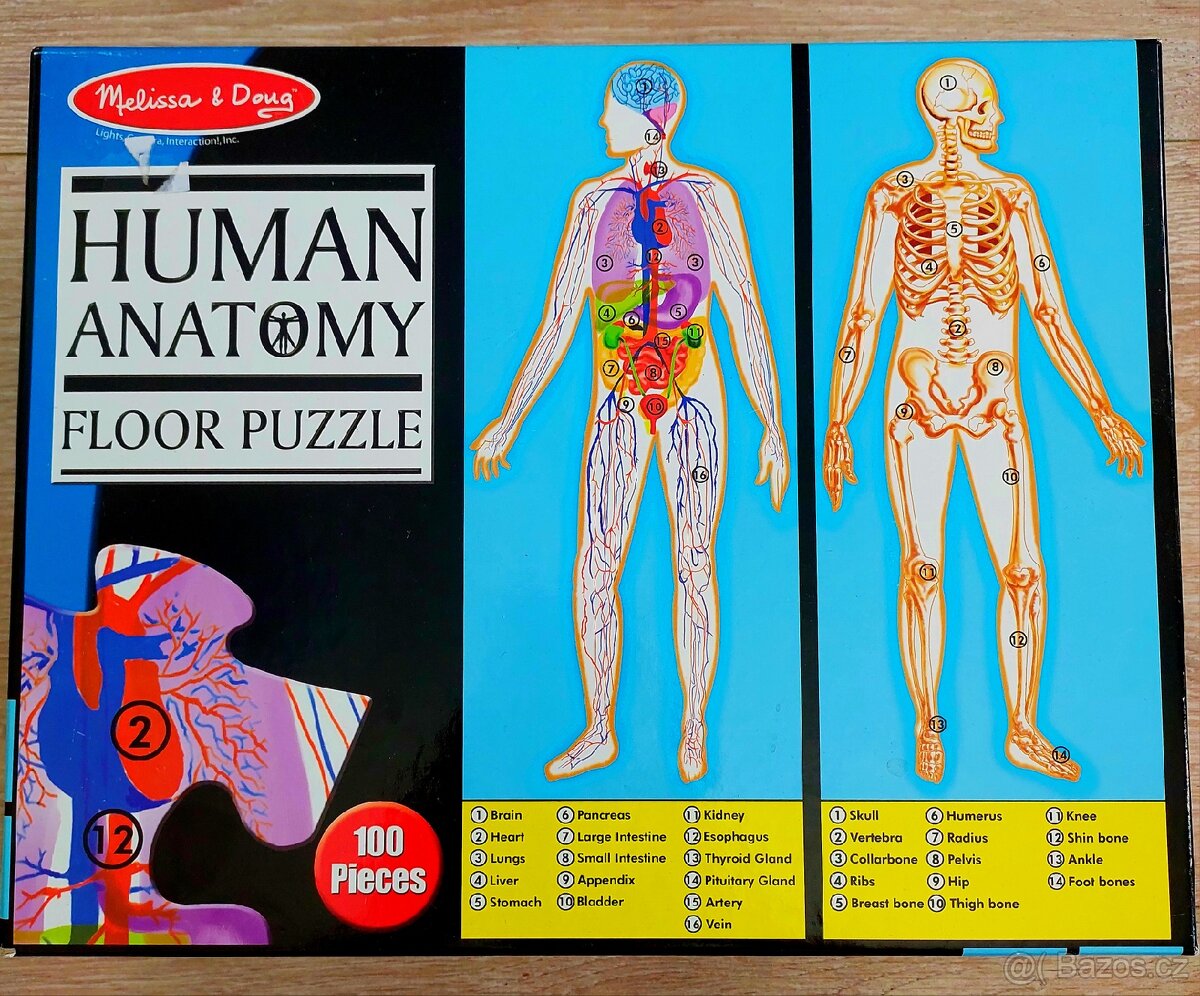 Puzzle Anatomie člověka