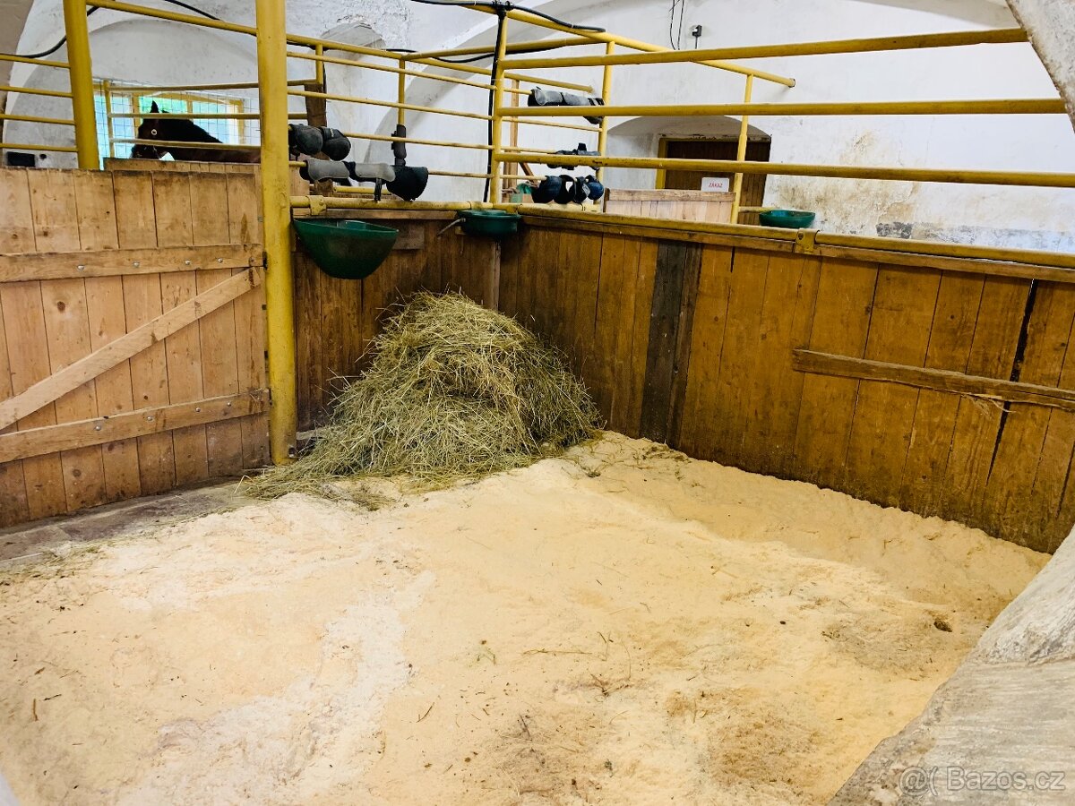 Ustájení