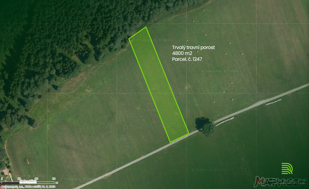 Prodej louky KÚ Hranice u Nových Hradů LV341