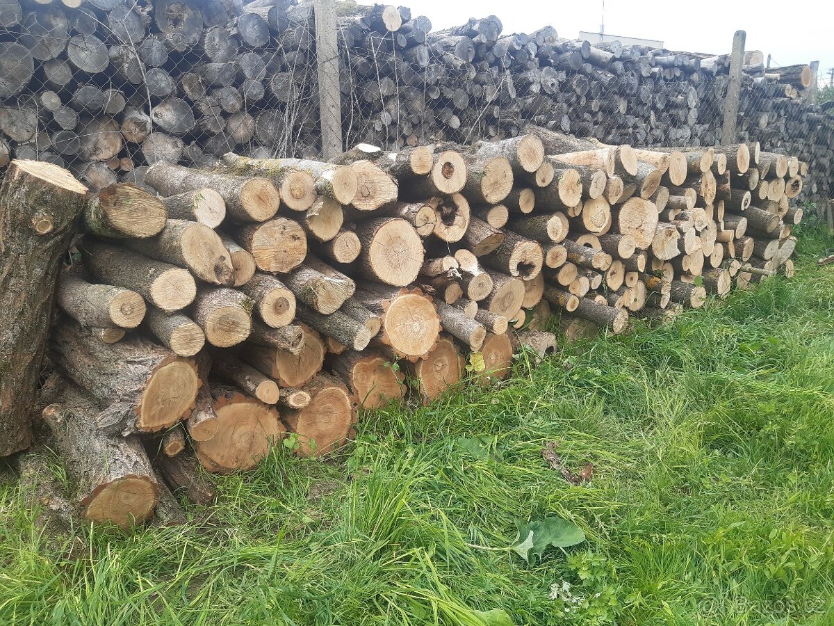 Palivové dřevo