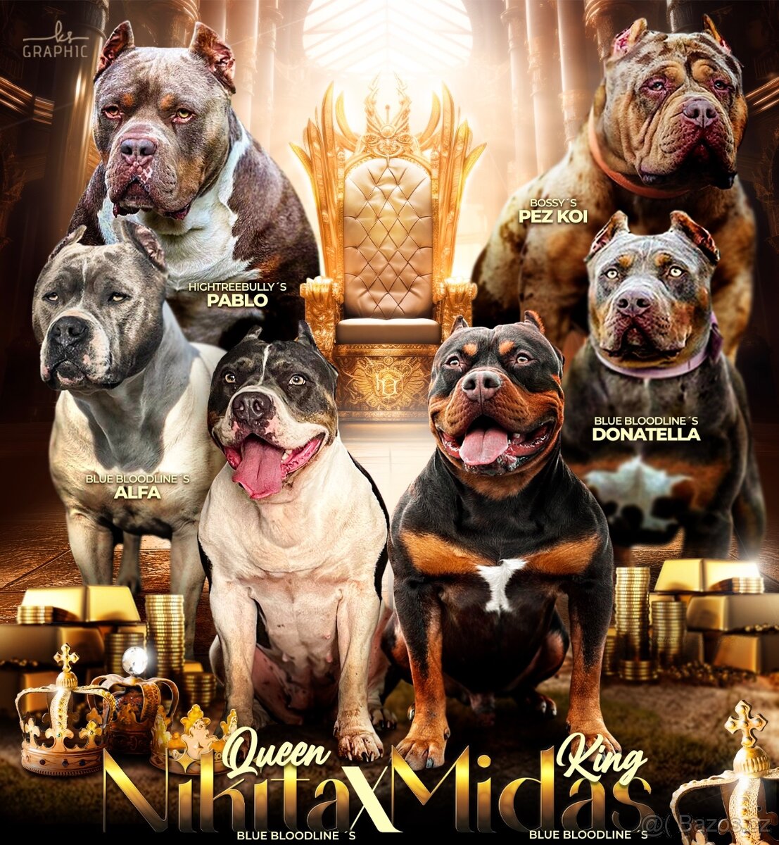 AMERICAN BULLY XL s PP