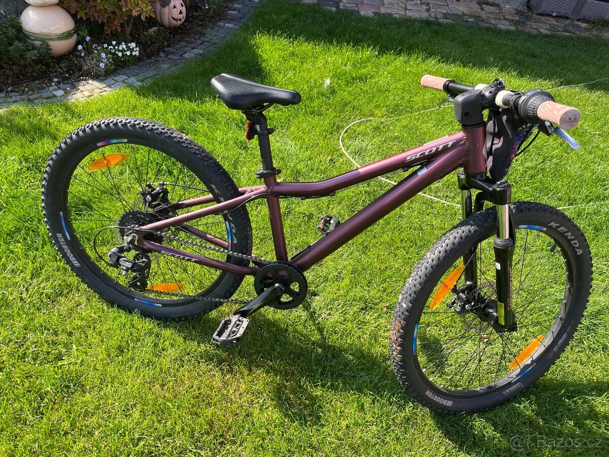 Scott contessa 24