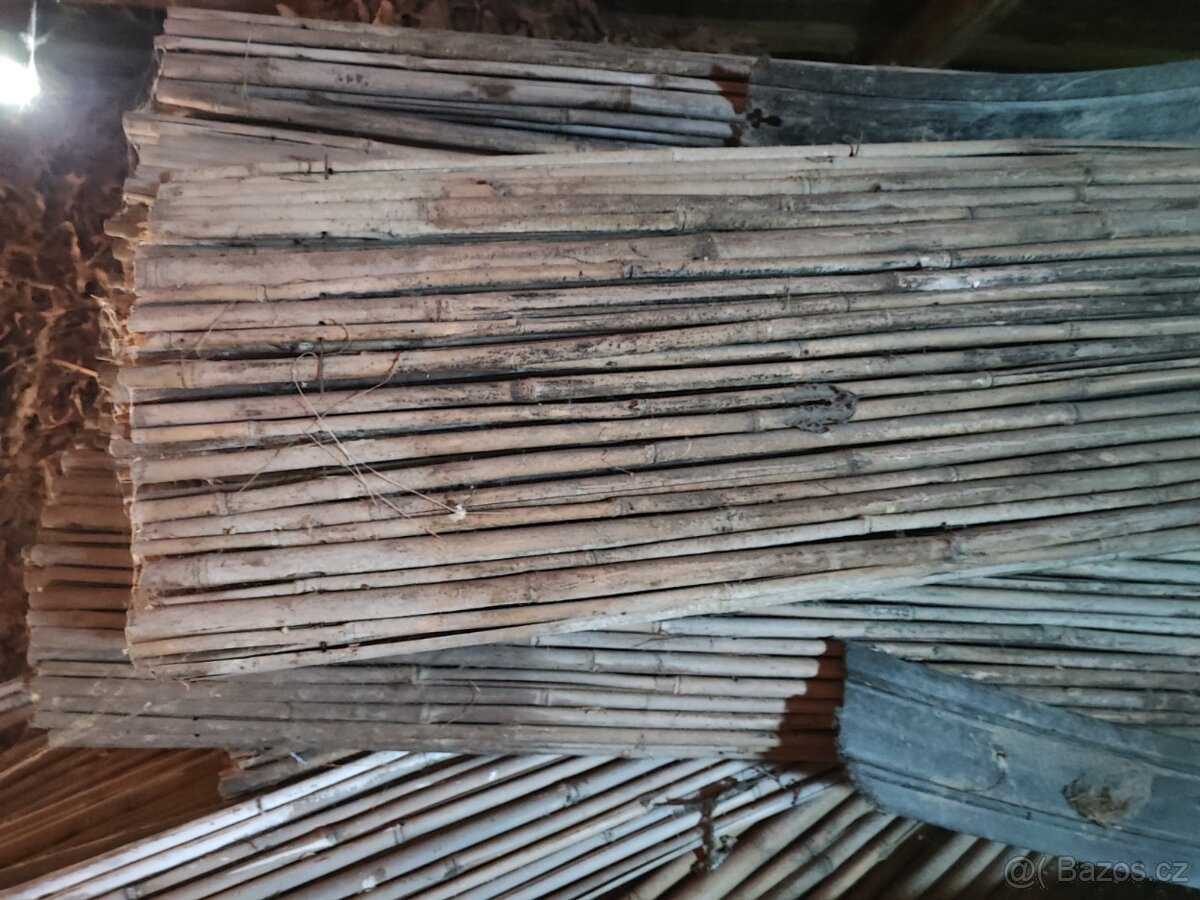 bambusový plot
