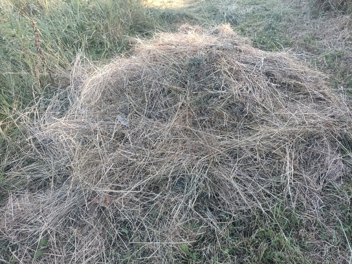 Seno lokalita Blatec Zdarma za odvoz