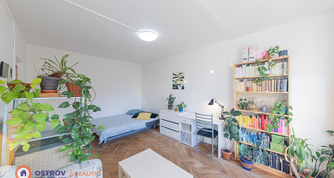 Pronájem, byt 2+1, 53 m², Olomouc – Dělnická ul.