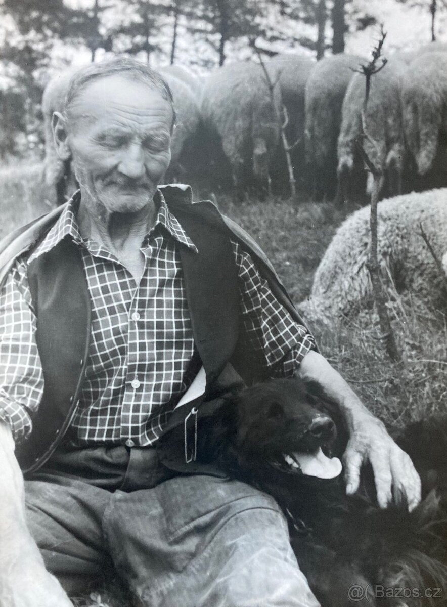 Fotografie Irena Bluhová (1904-1991)