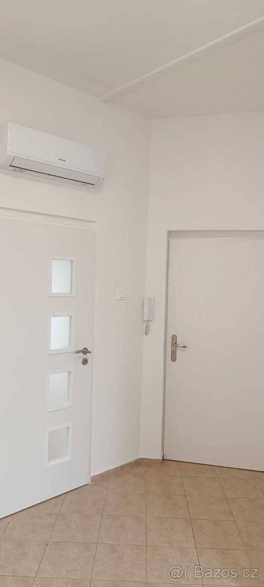 Pronájem 1+1 43 m², krasny, rekonstruovany a usporny byt