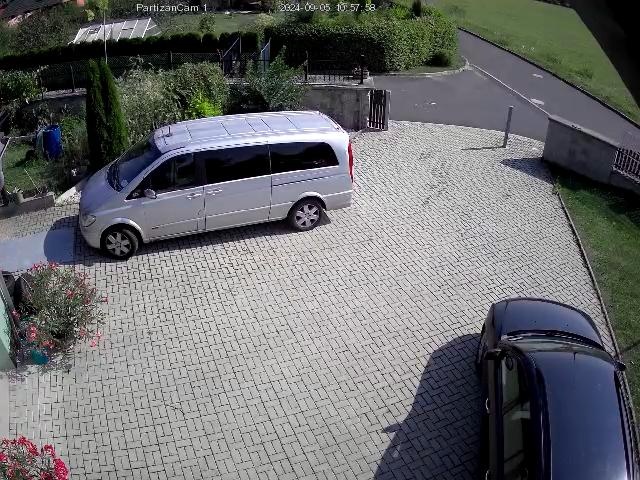 MB Viano Activity