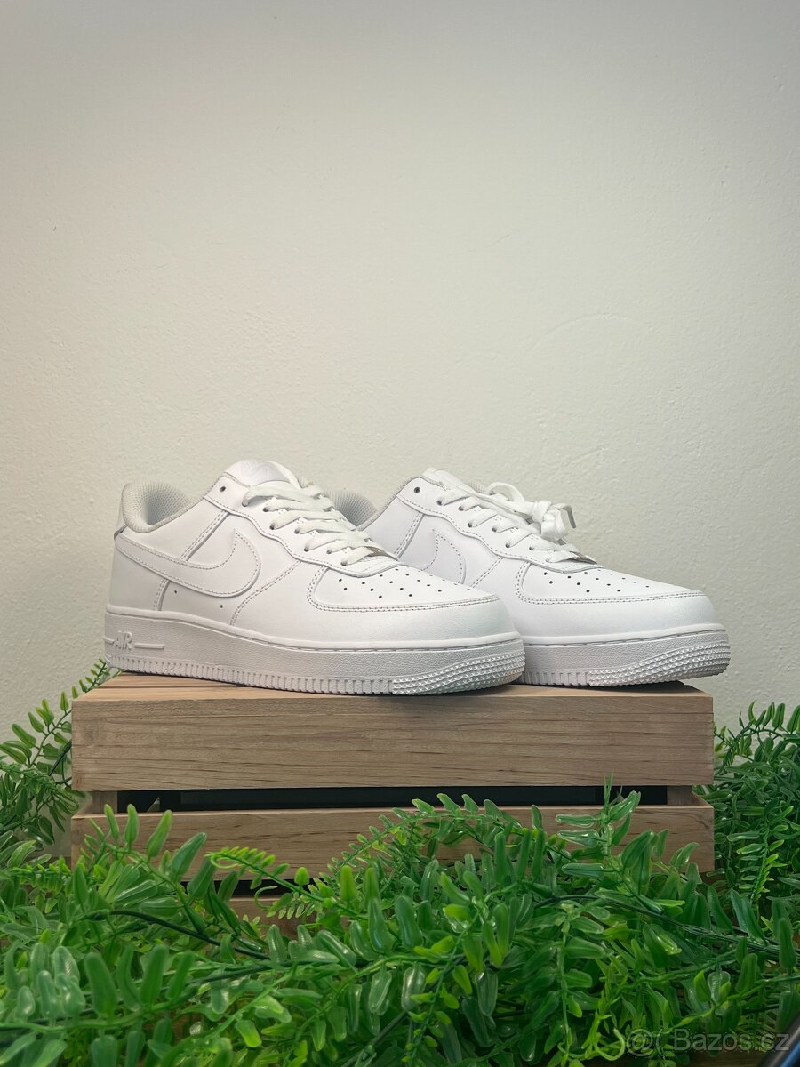 Nike Air Force 1 (39)