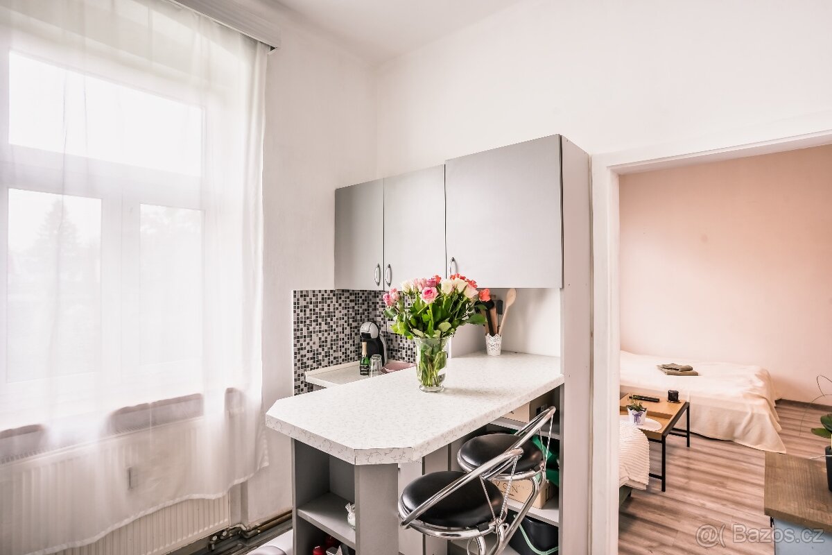 Prodej bytu 1+1 28 m² Dlouhá, Karlovy Vary - Stará Role