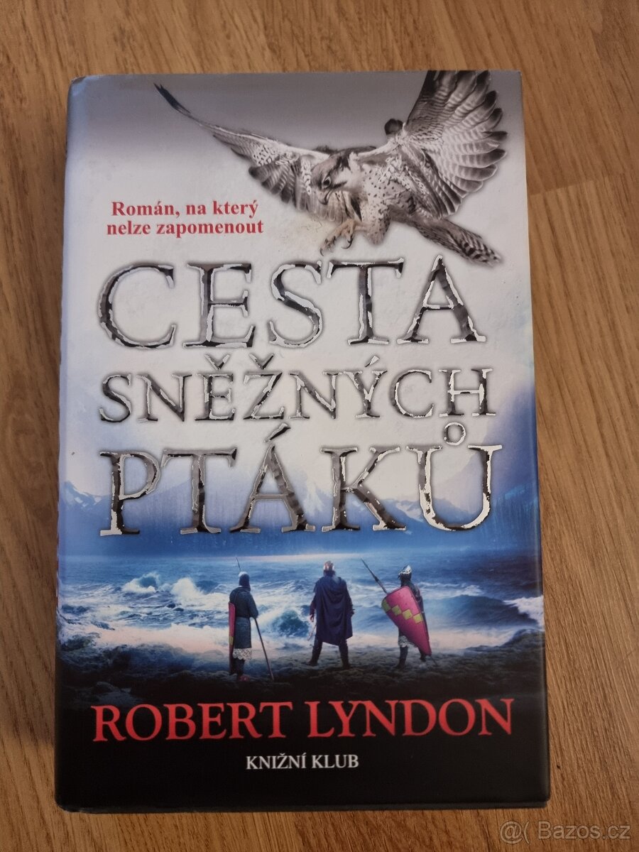 Cesta sněžných ptáků